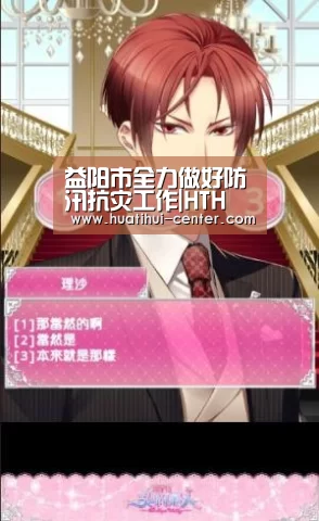 益阳市全力做好防汛抗灾工作|HTH